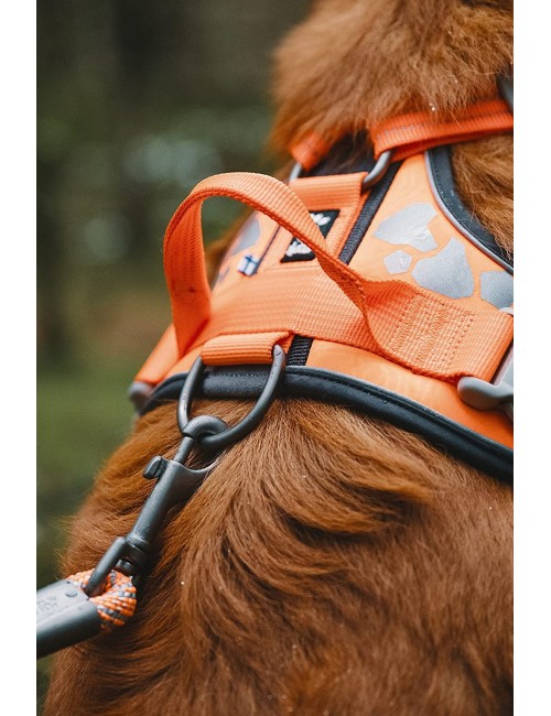 Hurtta Weekend Warrior Dog Harness
