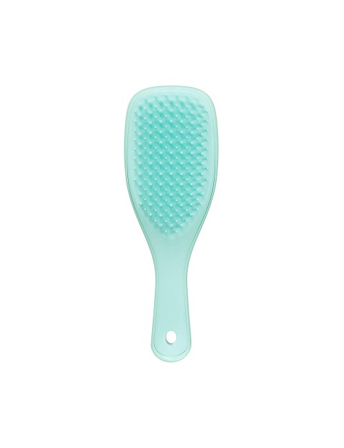 Tangle Teezer | The Mini Wet Detangler Hairbrush for Wet & Dry Hair | Perfect for Kids & Traveling | Eliminates Knots & Reduces