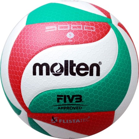 Molten Volley Ball