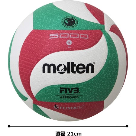 Molten Volley Ball