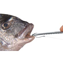 Hook disgorger knife for removing hooks with fish salt or fresh water
