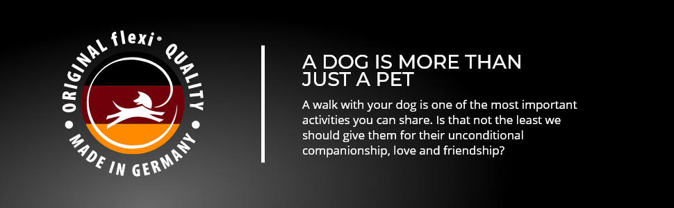 A dog is more than just a pet