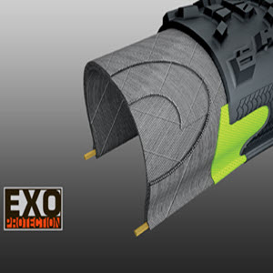 Maxxis EXO puncture protection image rendering.