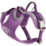 Hurtta Weekend Warrior Dog Harness