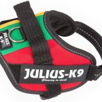 Julius-K9 | 16IDC-C-MM  IDC Power harness dog harness Size Mini | Camouflage